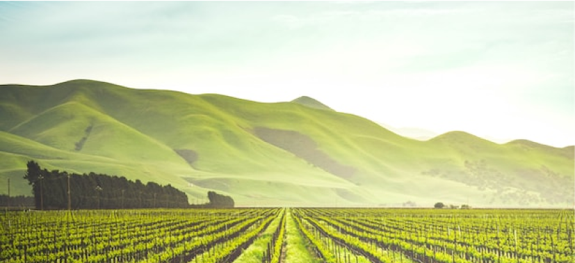 agtech blog banner